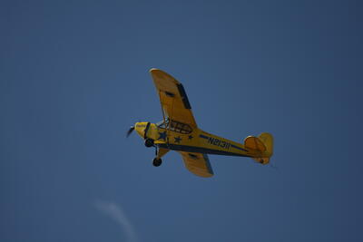 IMG 1773
